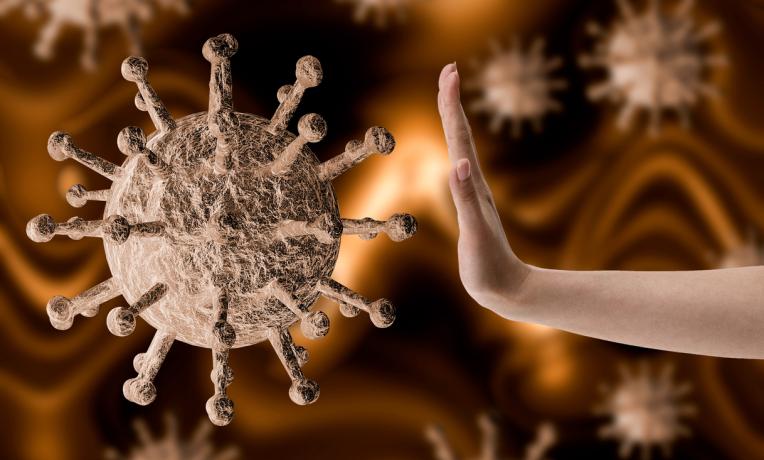 Cover image of Frontier research at the service of the coronavirus epidemic response Cover image of Frontier research at the service of the coronavirus epidemic response